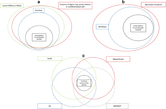 The significance of a nineteenth century definition in the era of genomics:  linitis plastica | World Journal of Surgical Oncology | Full Text