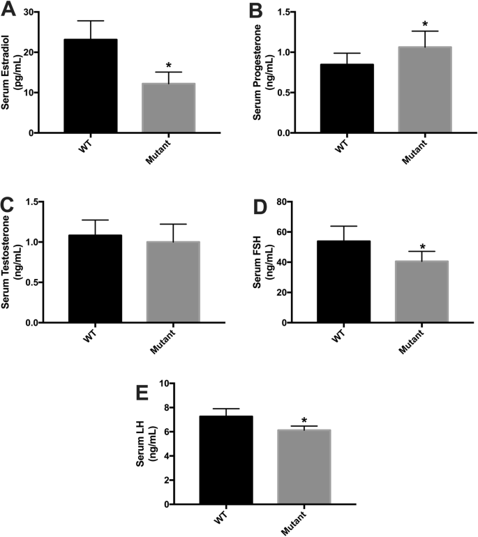 Irisin Deletion Induces A Decrease In Growth And Fertility In Mice Springerlink