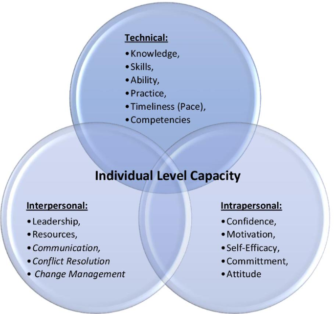 Systematised Meaning Systematised Meaning