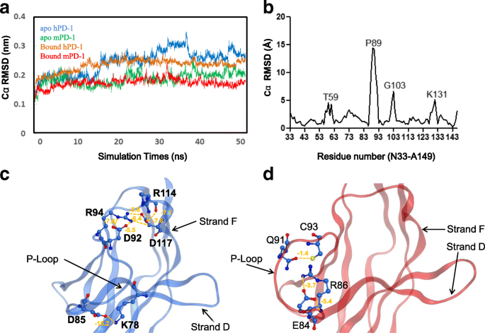 The Design Of High Affinity Human Pd 1 Mutants By Using Molecular Dynamics Simulations Md Cell Communication And Signaling Full Text