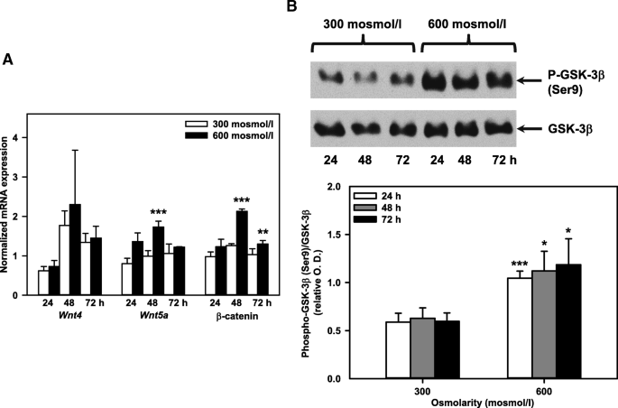 Tonicity Inversely Modulates Lipocalin 2 Lcn2 24p3 Ngal Receptor Slc22a17 And Lcn2 Expression Via Wnt B Catenin Signaling In Renal Inner Medullary Collecting Duct Cells Implications For Cell Fate And Bacterial Infection Cell Communication And