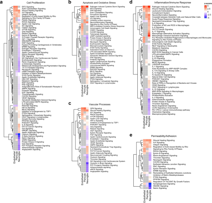 Transcriptomic signatures of individual cell types in cerebral 