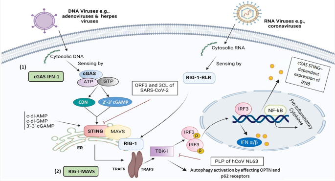consulting case study vaccine figure 1