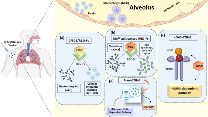 consulting case study vaccine figure 3
