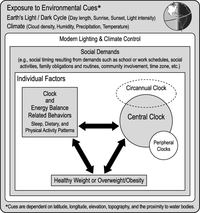 Potential Circadian And Circannual Rhythm Contributions To The Obesity Epidemic In Elementary School Age Children International Journal Of Behavioral Nutrition And Physical Activity Full Text