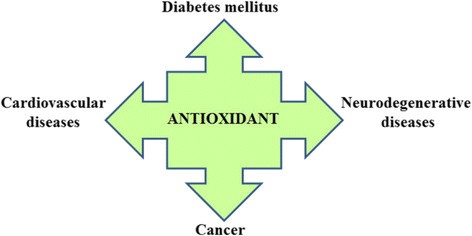 Hydroxytyrosol Antioxidant 