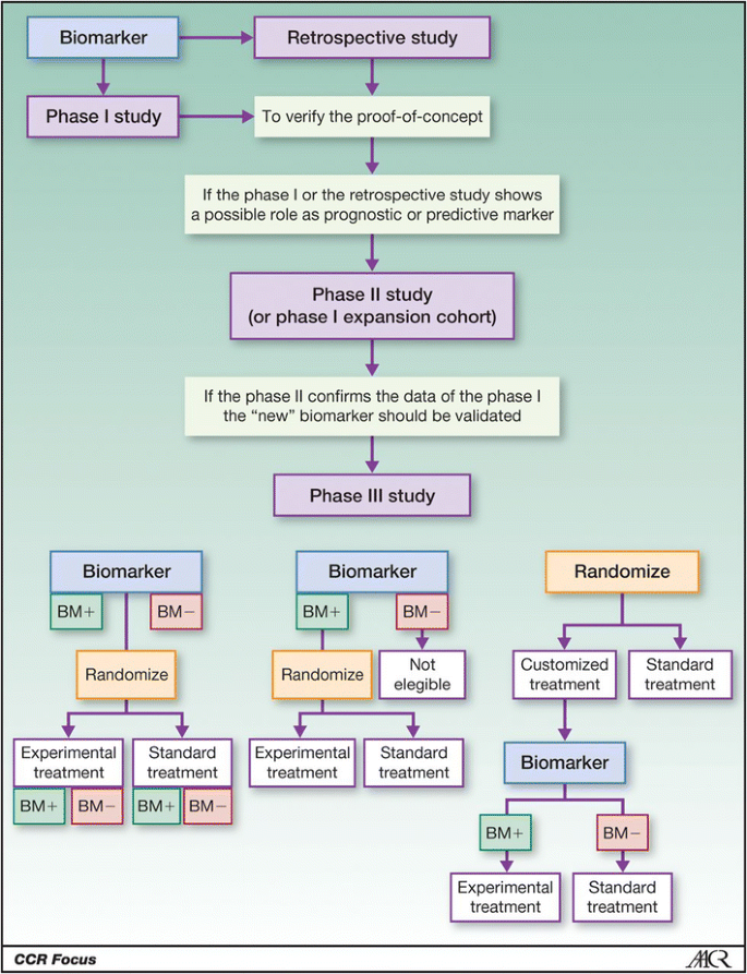 The need for a network to establish and validate predictive biomarkers in  cancer immunotherapy | Journal of Translational Medicine | Full Text