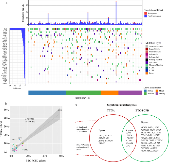 gastric cancer genetics ceea ce numesc viermii mari