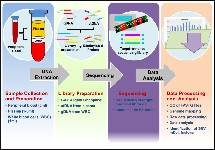 Circulating DNA as prognostic biomarker in patients with advanced  hepatocellular carcinoma: a translational exploratory study from the  SORAMIC trial | Journal of Translational Medicine | Full Text