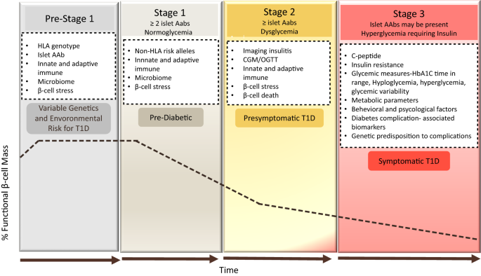 Diagnosis And Treatment Of Type 1 Diabetes At The Dawn Of The Personalized Medicine Era Journal Of Translational Medicine Full Text