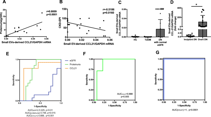 Urinary small extracellular vesicles derived CCL21 mRNA as biomarker linked  with pathogenesis for diabetic nephropathy | Journal of Translational  Medicine | Full Text