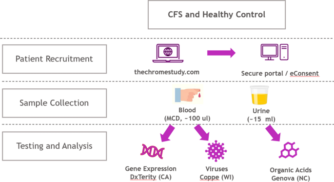 Fibromyalgia notable studies - MEpedia