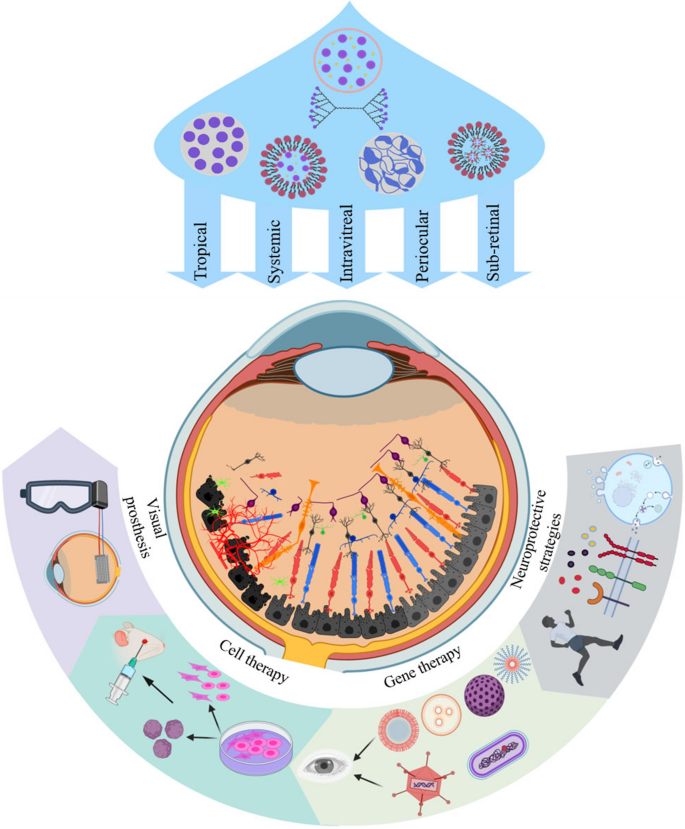 Overcoming Retinal Diseases: Can the Retina Heal Itself