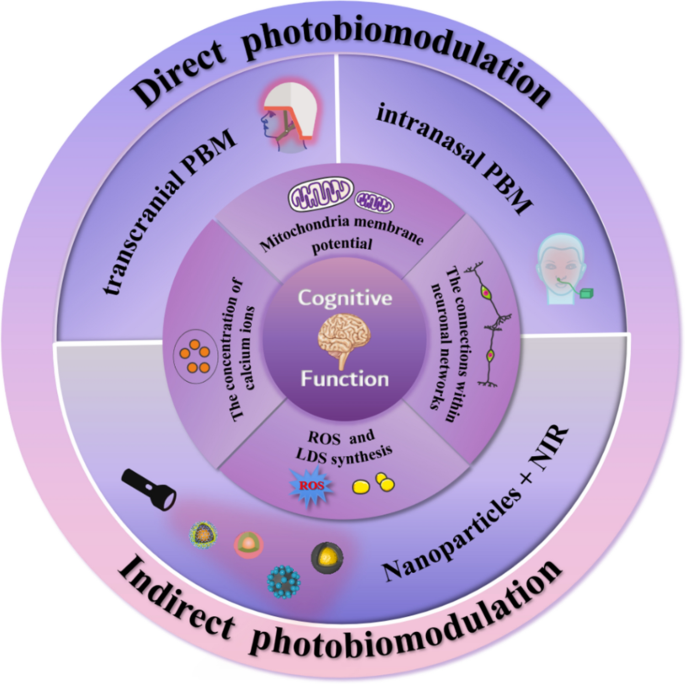 Photobiomodulation