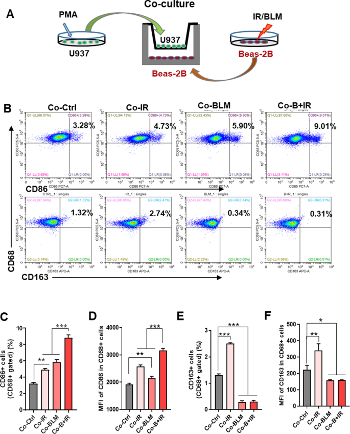 Transcription factor KLF4 regulated STAT1 to promote M1 polarization of macrophages in rheumatoid arthritis