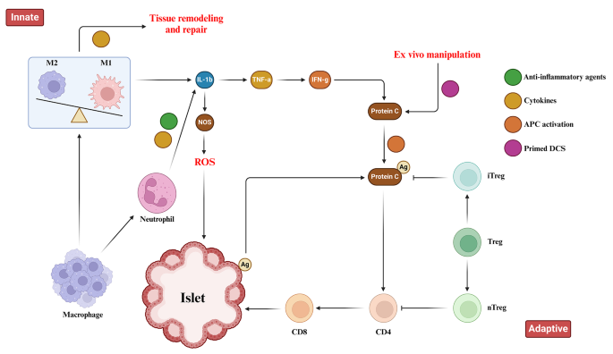 diabetes in research paper figure 1