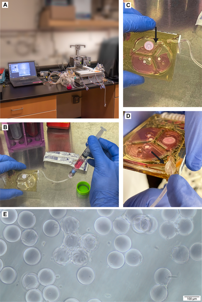 case study translation in malayalam figure 1