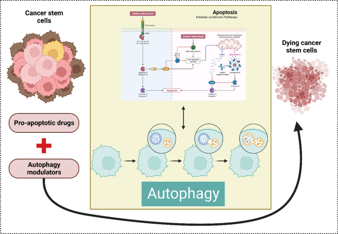 glutathione and cancer stem cell Glutathione Depletion and Stalwart Anticancer Activity of  Metallotherapeutics Inducing Programmed Cell Death: Opening a New Window  for Cancer Therapy main image 0