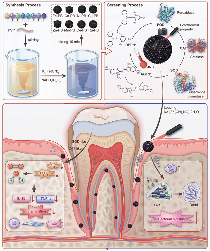 Emerging versatile nanozymes for the therapeutic and diagnostic ...
