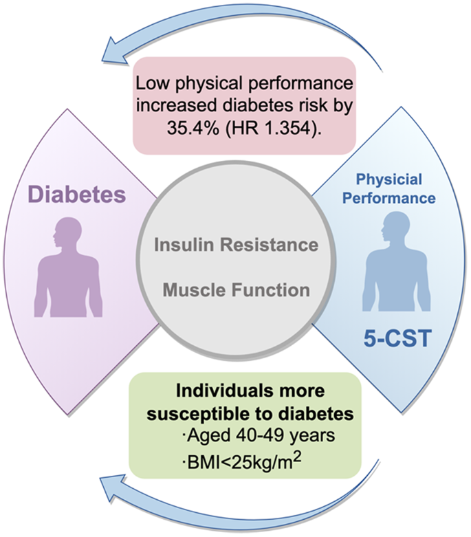 Physical performance outweighs grip strength in predicting diabetes ...