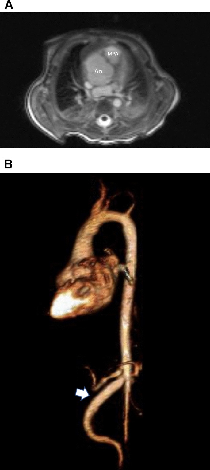 figure 32