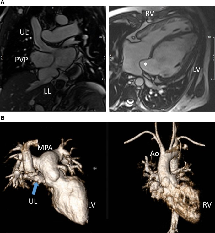 figure 40