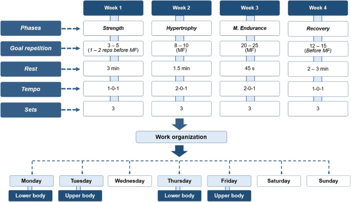 low carb diet pubmed schoenfeld