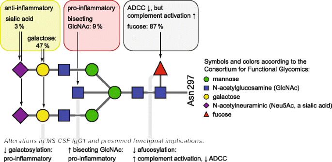 Pro-inflammatory pattern of IgG1 Fc glycosylation in multiple sclerosis  cerebrospinal fluid | Journal of Neuroinflammation | Full Text