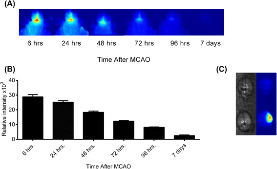 figure 11