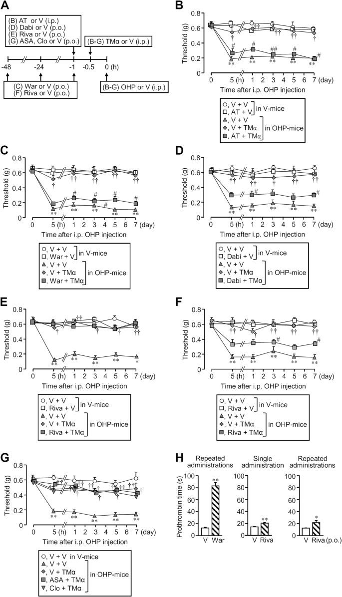 Role Of Non Macrophage Cell Derived Hmgb1 In Oxaliplatin Induced Peripheral Neuropathy And Its Prevention By The Thrombin Thrombomodulin System In Rodents Negative Impact Of Anticoagulants Journal Of Neuroinflammation Full Text