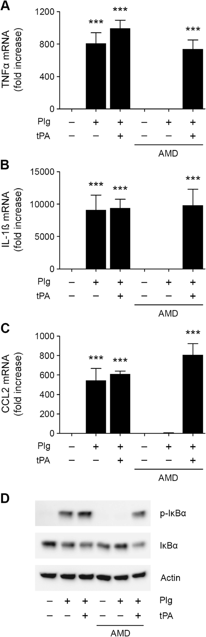 Fibrinolysis Protease Receptors Promote Activation Of Astrocytes To Express Pro Inflammatory Cytokines Journal Of Neuroinflammation Full Text