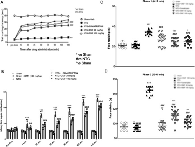 Dimethyl Fumarate Alleviates The Nitroglycerin Ntg Induced Migraine In Mice Journal Of Neuroinflammation Full Text