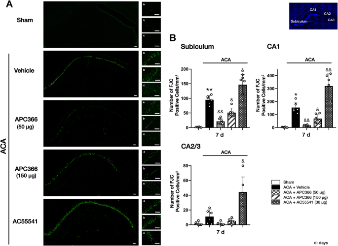 Inhibition Of Mast Cell Tryptase Attenuates Neuroinflammation Via Par 2 P38 Nfkb Pathway Following Asphyxial Cardiac Arrest In Rats Journal Of Neuroinflammation Full Text Inhibition Of Mast Cell Tryptase Attenuates Neuroinflammation Via Par 2 P38 Nfkb Pathway Following Asphyxial Cardiac Arrest In Rats Journal Of Neuroinflammation Full Text