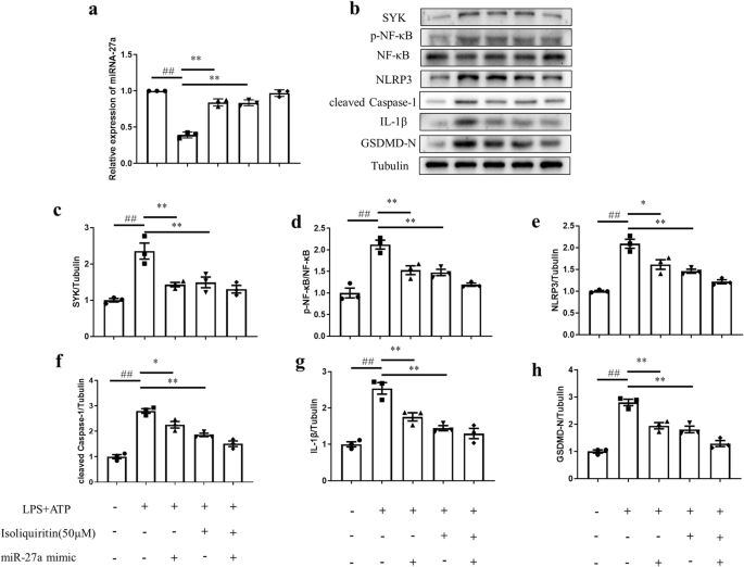 figure 16