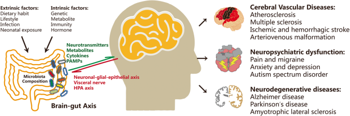 The progress gut microbiome research to brain disorders | Journal of Neuroinflammation | Full
