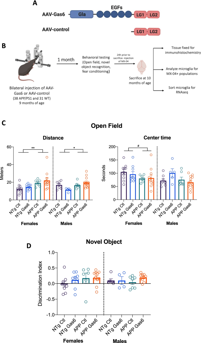 Gas6 induces inflammation and reduces plaque burden but worsens behavior in a sex-dependent manner in the APP/PS1 model of Alzheimer's disease | Journal of Neuroinflammation | Full Text Gas6 induces inflammation and reduces plaque burden but worsens behavior in a sex-dependent manner in the APP/PS1 model of Alzheimer's disease | Journal of Neuroinflammation | Full Text