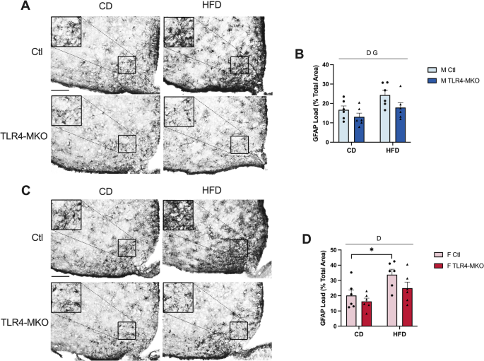 Microglia/macrophage-specific deletion of TLR-4 protects against neural ...