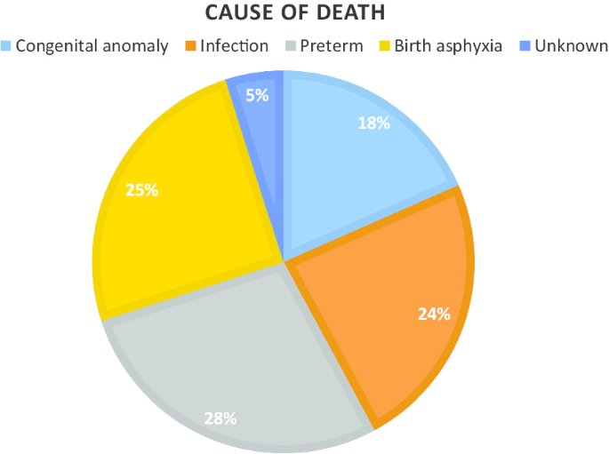 Neonatal Deaths In Rural Karnataka India 2014 2018 A Prospective Population Based Observational Study In A Low Resource Setting Reproductive Health Full Text