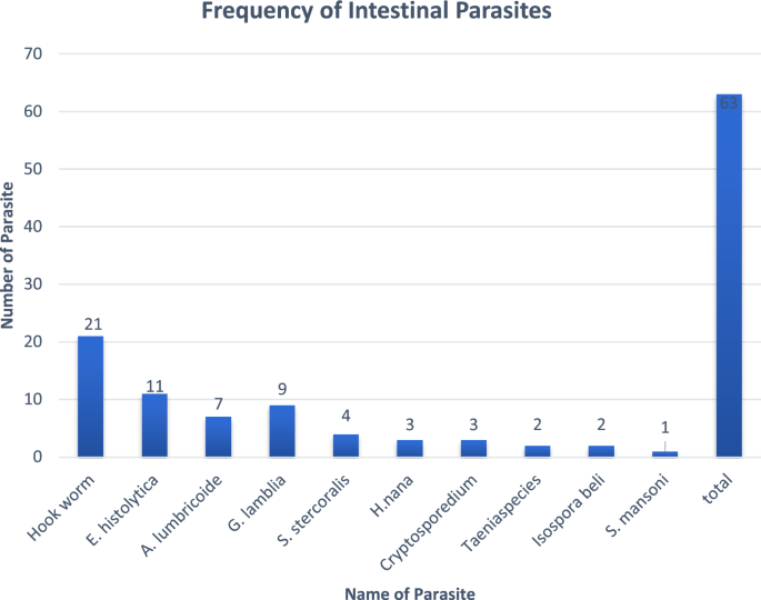 what are variables of a research study figure 1