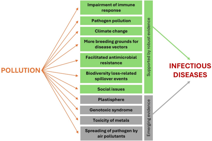 Unraveling classic and emerging links between pollution and infectious ...
