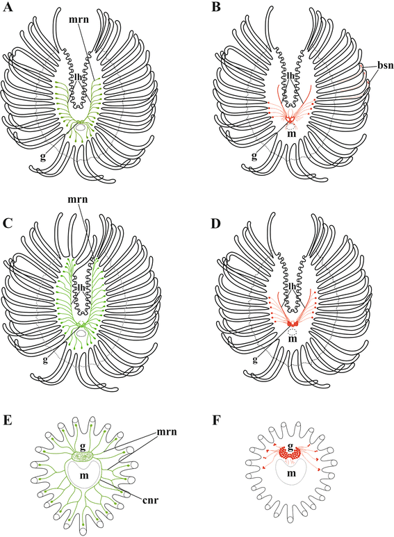 figure 16