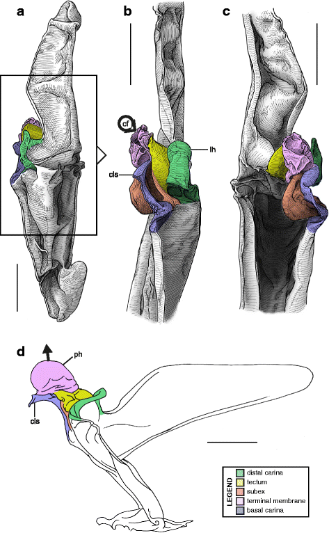 figure 17