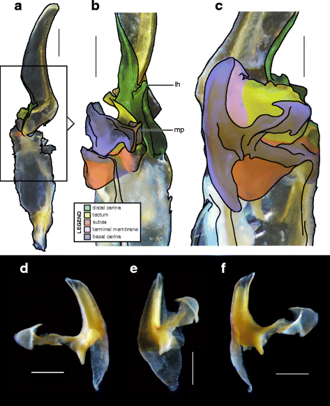 figure 19