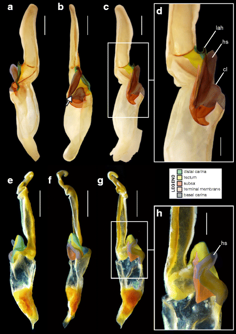 figure 22