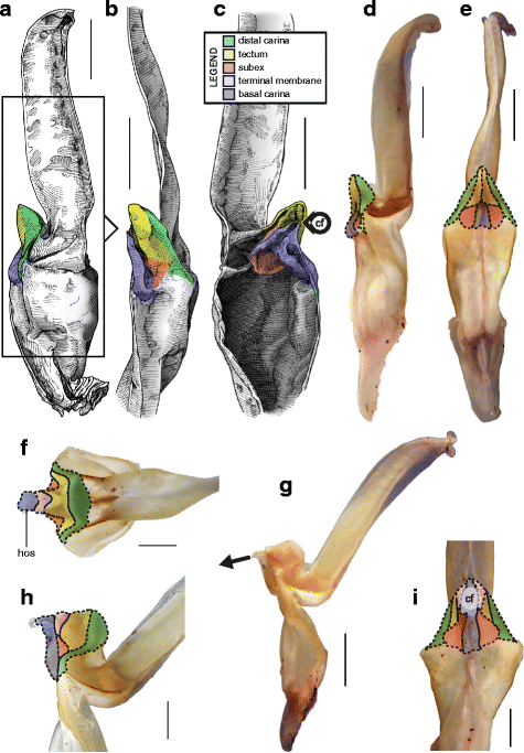 figure 23