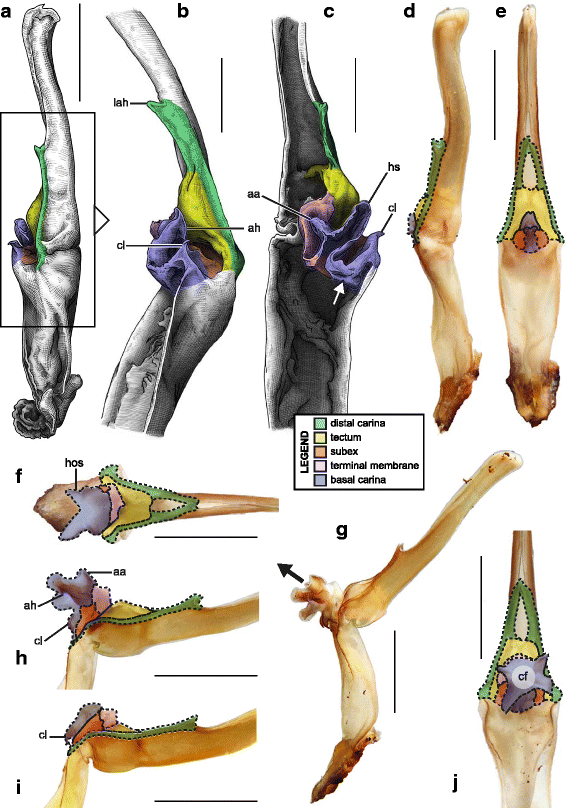 figure 27