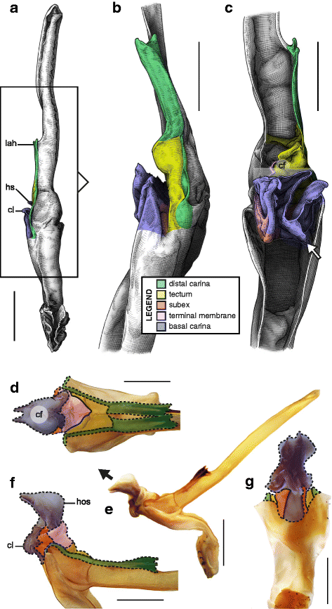 figure 28