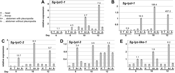 figure 10