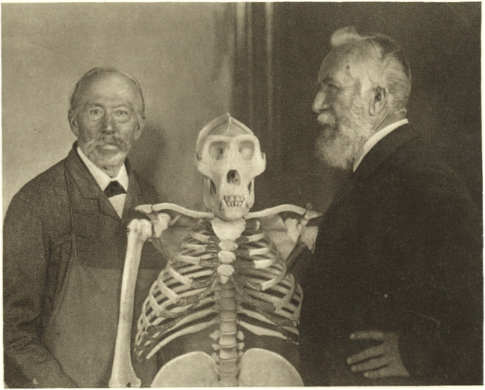 Ernst Haeckel Nikolai Miklucho Maclay And The Racial Controversy Over The Papuans Frontiers In Zoology Full Text