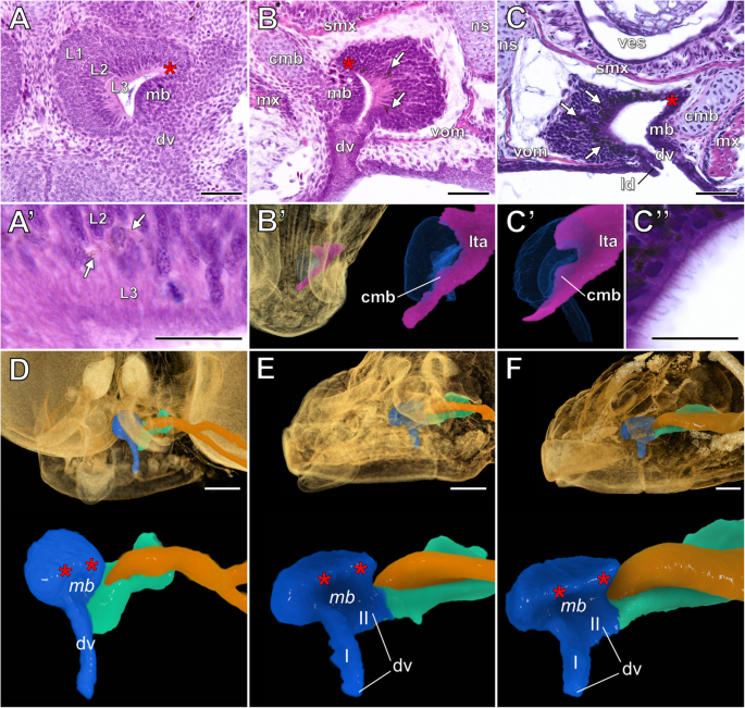 figure 14